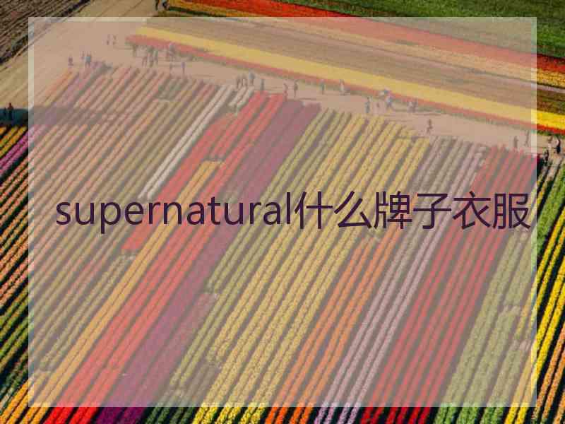 supernatural什么牌子衣服