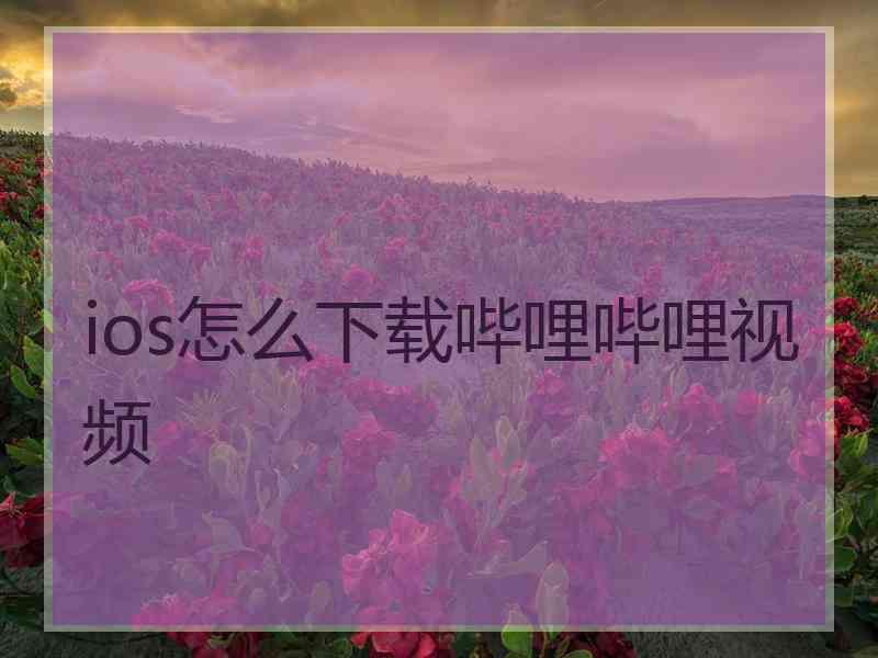 ios怎么下载哔哩哔哩视频