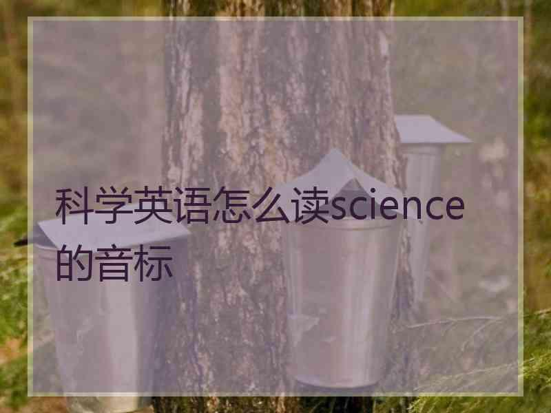 科学英语怎么读science的音标