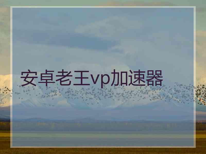 安卓老王vp加速器