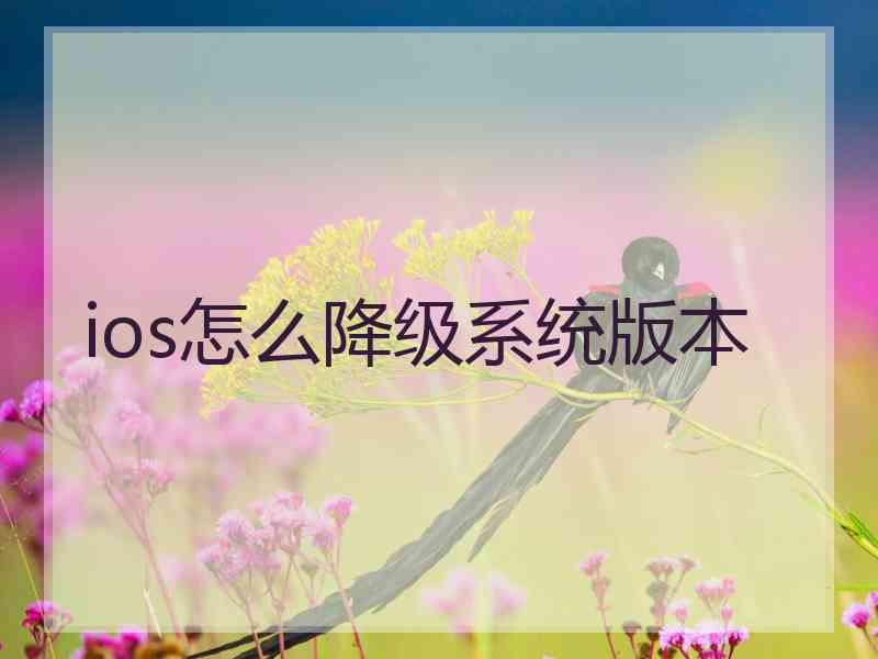 ios怎么降级系统版本