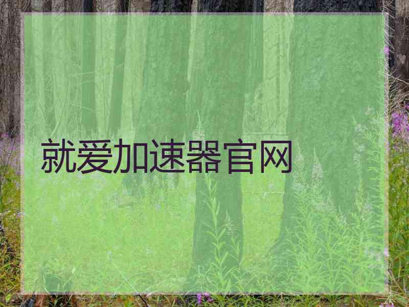 就爱加速器官网