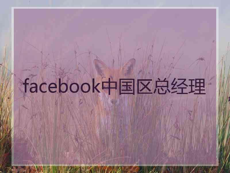 facebook中国区总经理