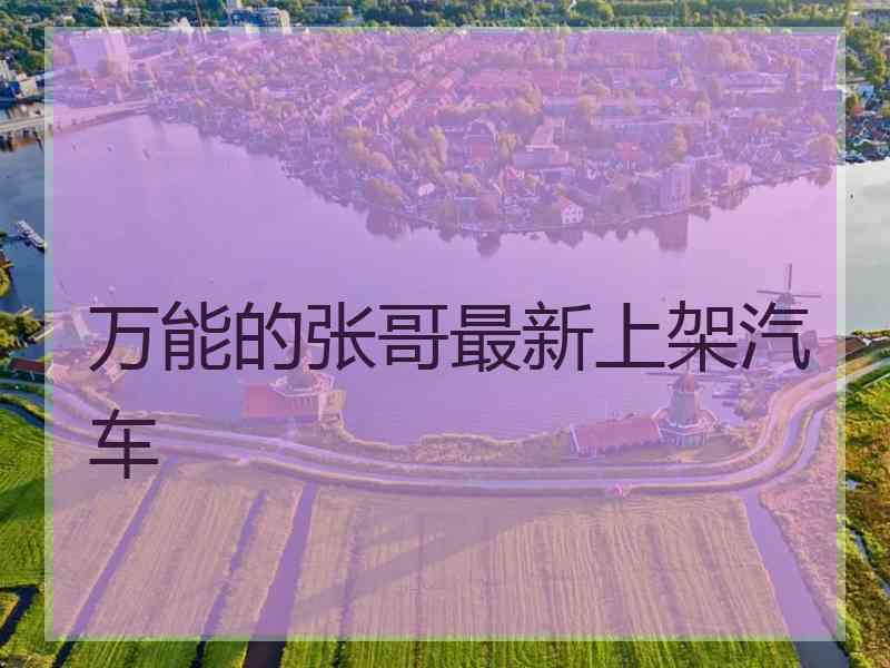 万能的张哥最新上架汽车