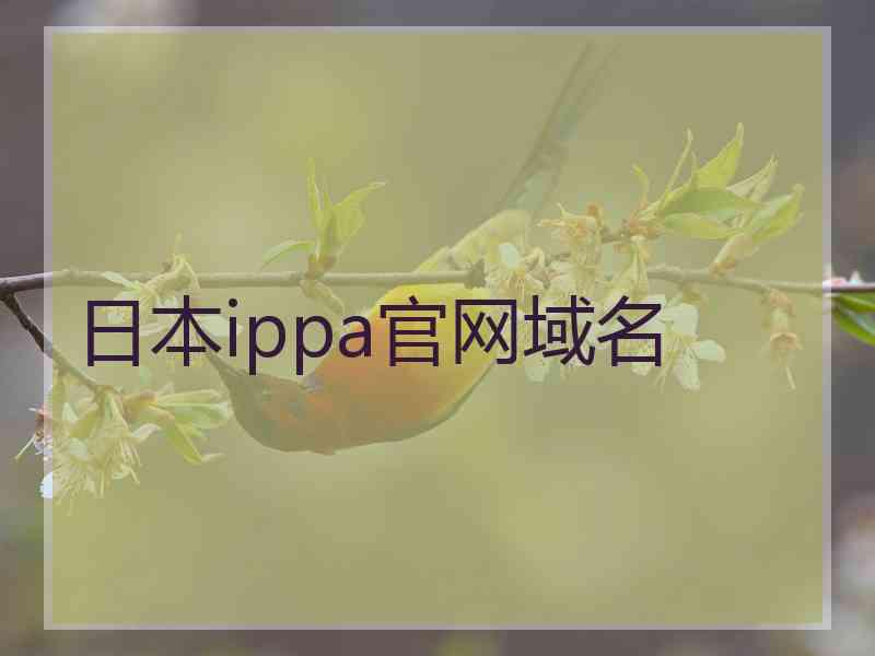 日本ippa官网域名