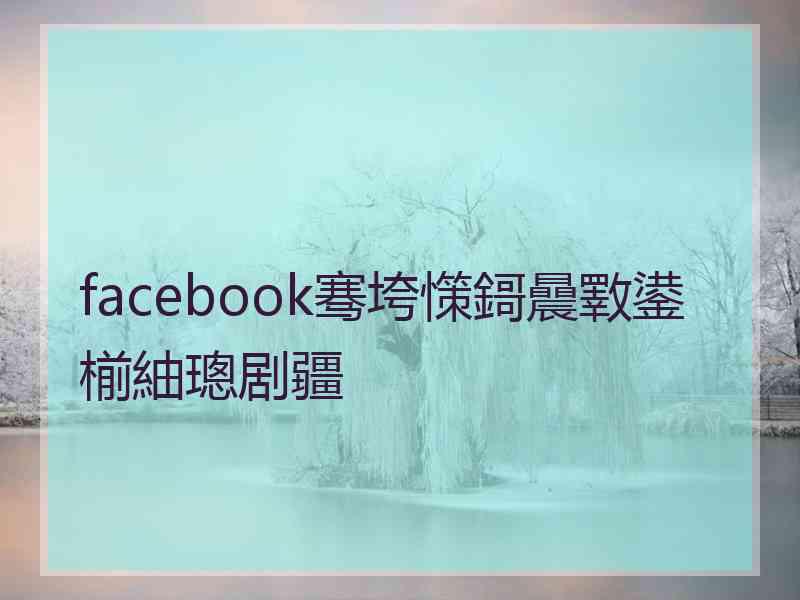 facebook骞垮憡鎶曟斁鍙椾紬璁剧疆