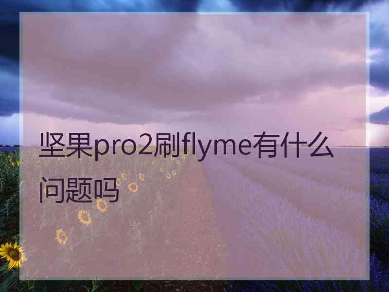 坚果pro2刷flyme有什么问题吗