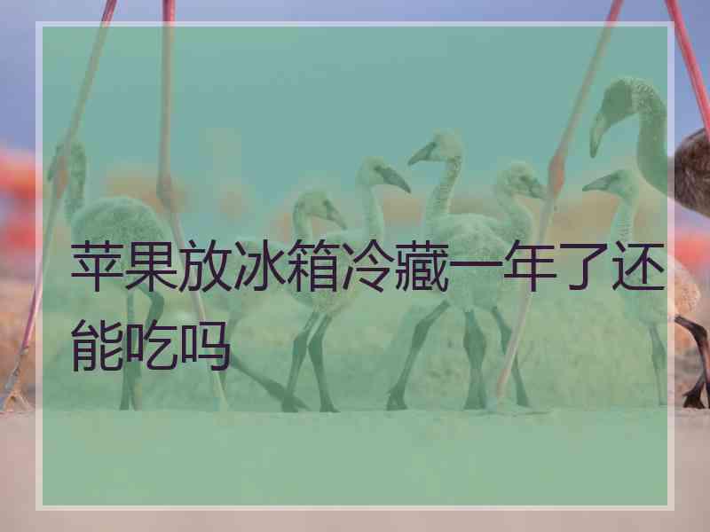 苹果放冰箱冷藏一年了还能吃吗