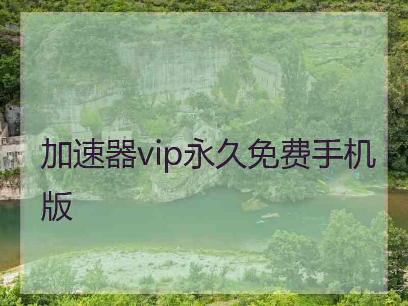 加速器vip永久免费手机版