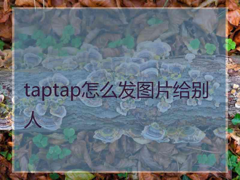 taptap怎么发图片给别人