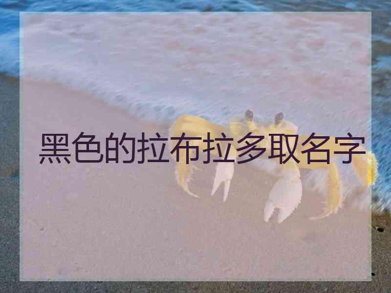 黑色的拉布拉多取名字