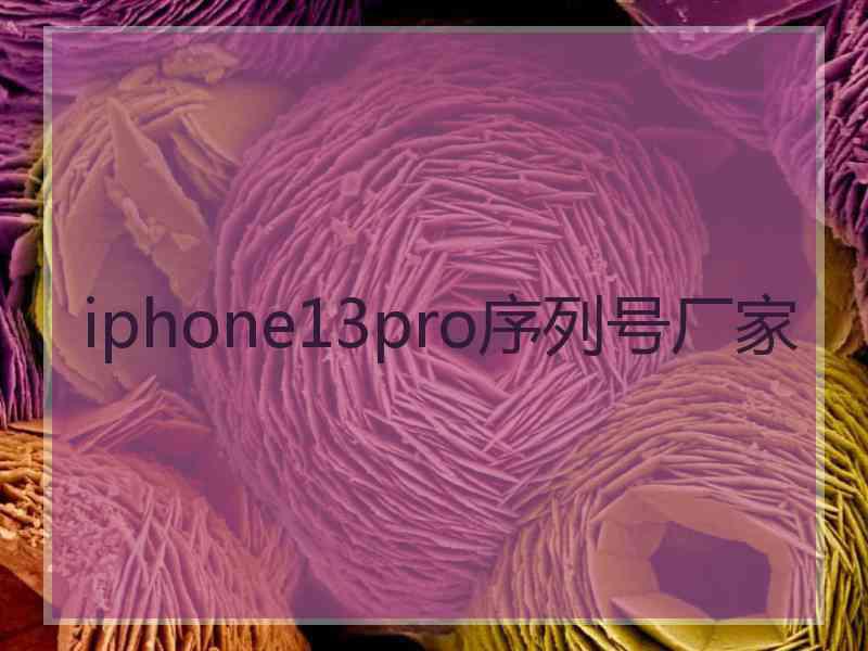 iphone13pro序列号厂家