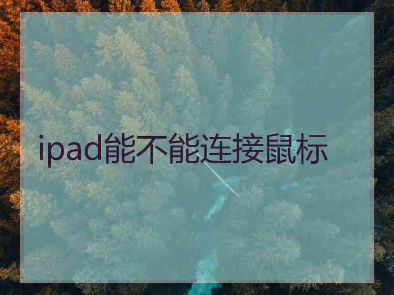 ipad能不能连接鼠标