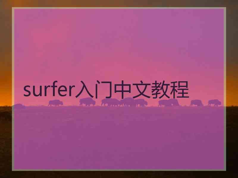 surfer入门中文教程