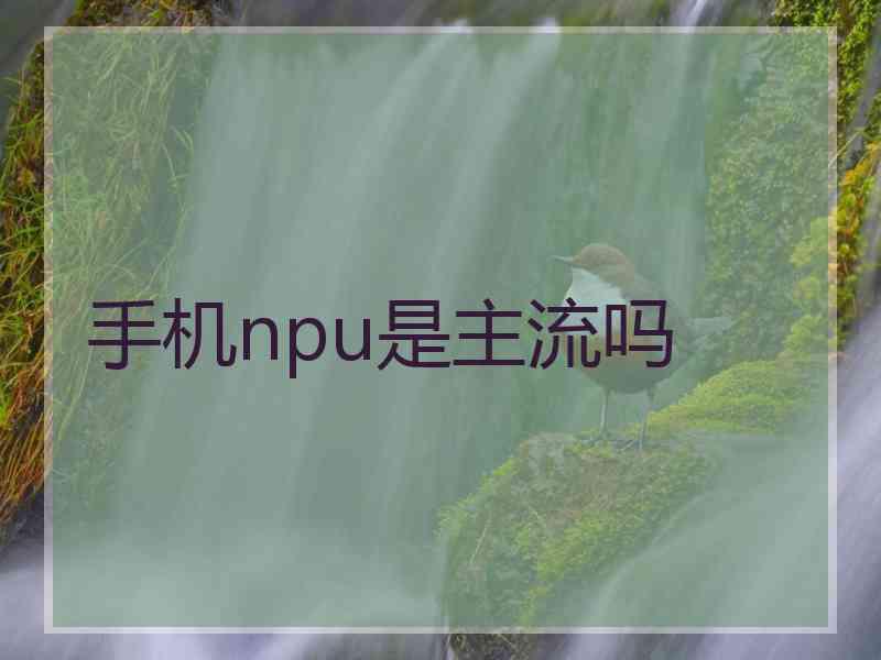 手机npu是主流吗