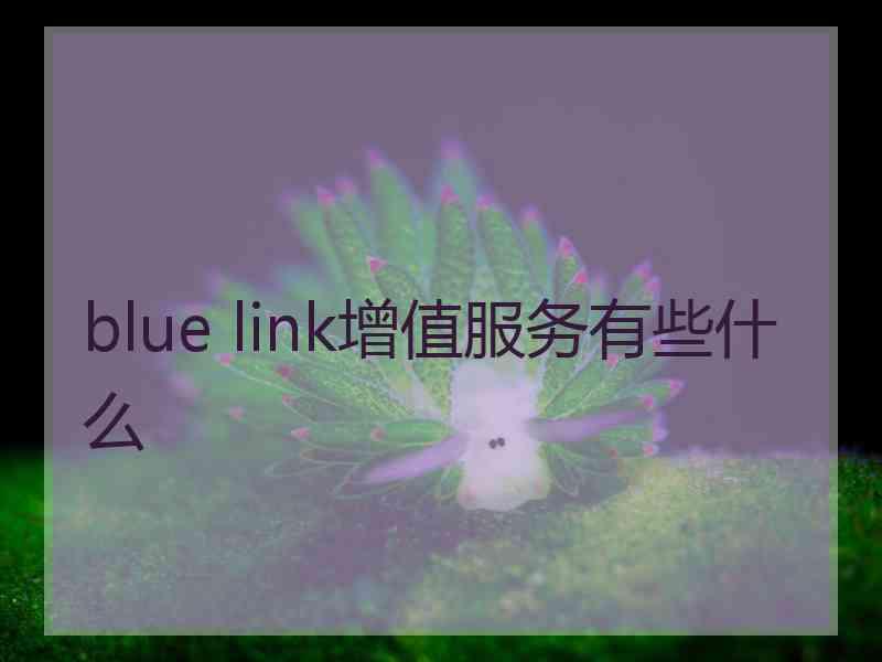 blue link增值服务有些什么