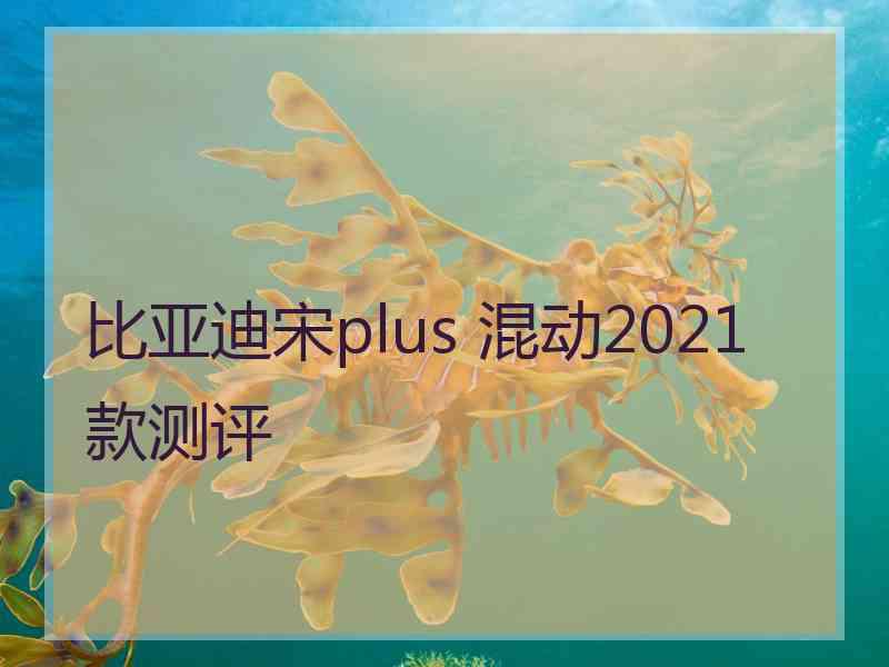 比亚迪宋plus 混动2021款测评