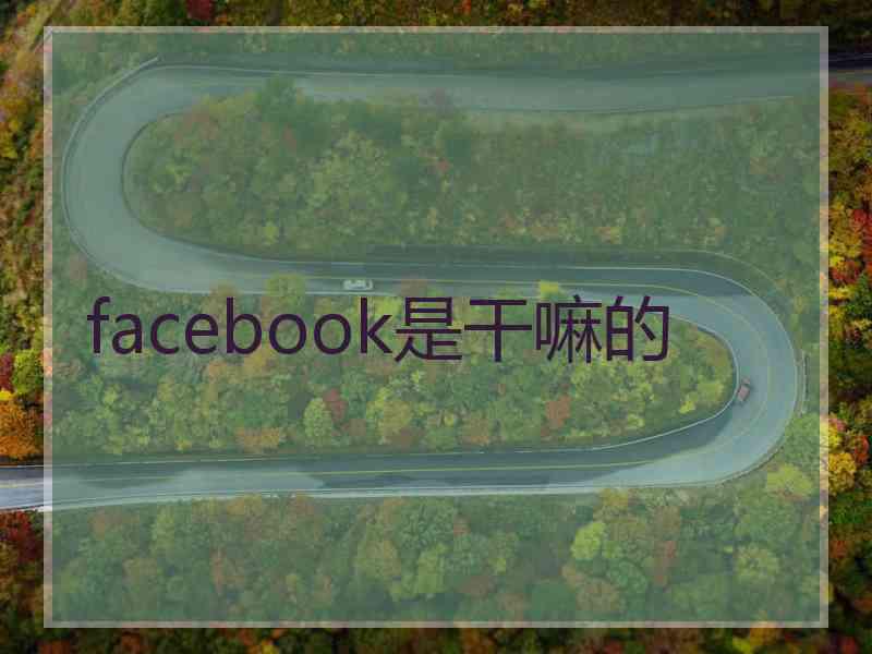 facebook是干嘛的