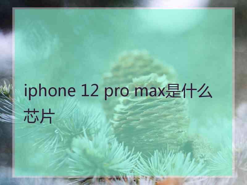 iphone 12 pro max是什么芯片