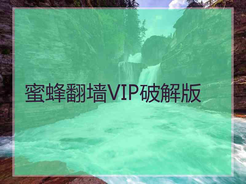 蜜蜂翻墙VIP破解版