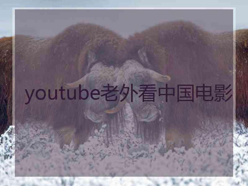 youtube老外看中国电影