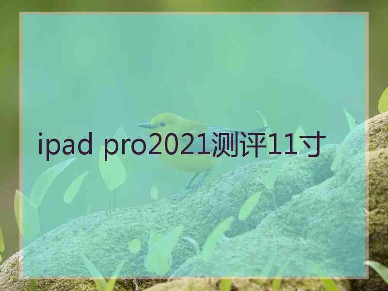 ipad pro2021测评11寸