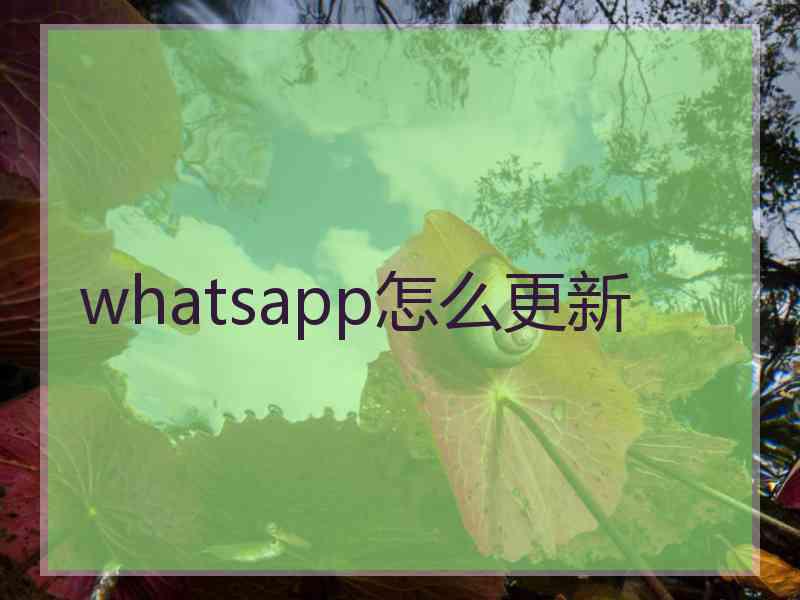 whatsapp怎么更新