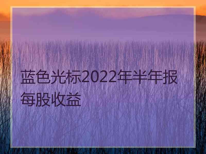 蓝色光标2022年半年报每股收益