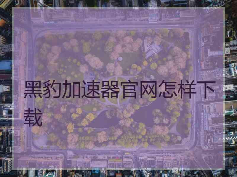 黑豹加速器官网怎样下载