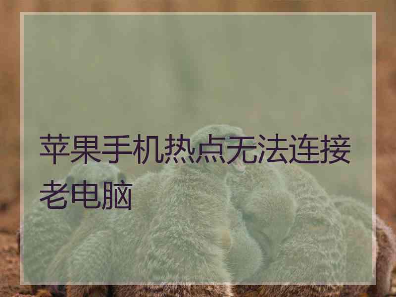 苹果手机热点无法连接老电脑