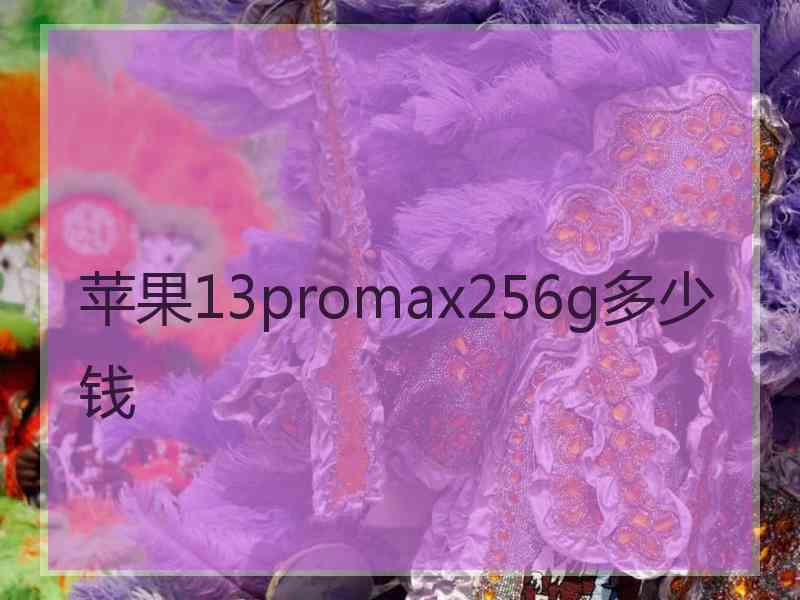 苹果13promax256g多少钱