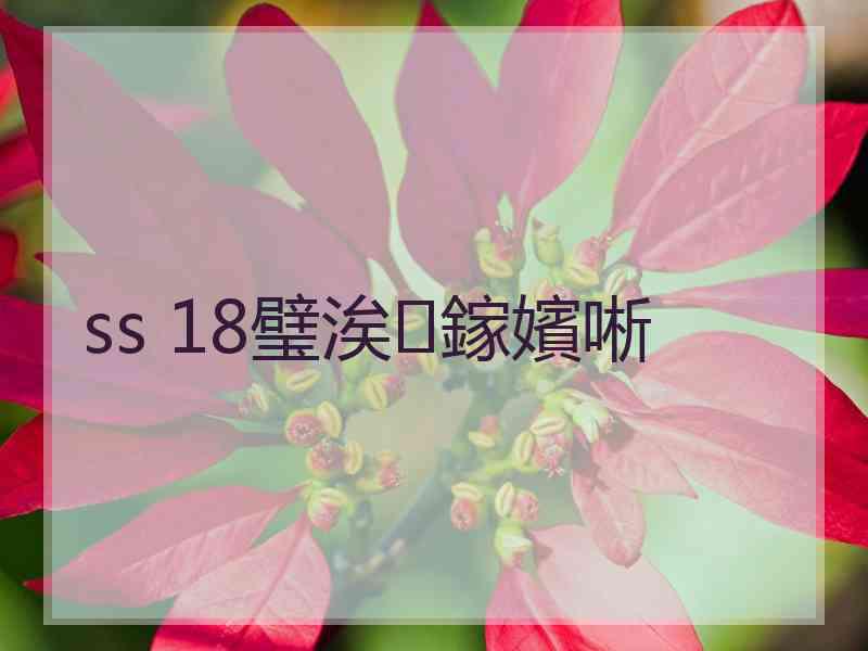 ss 18璧涘鎵嬪唽