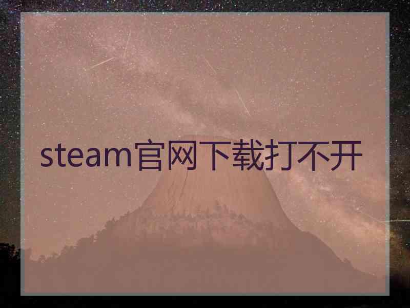 steam官网下载打不开