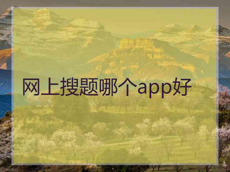 网上搜题哪个app好