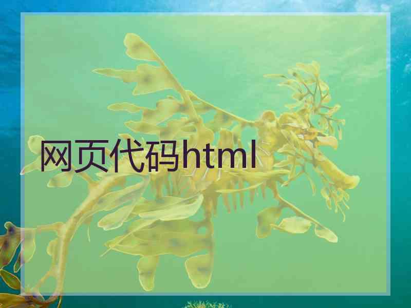 网页代码html