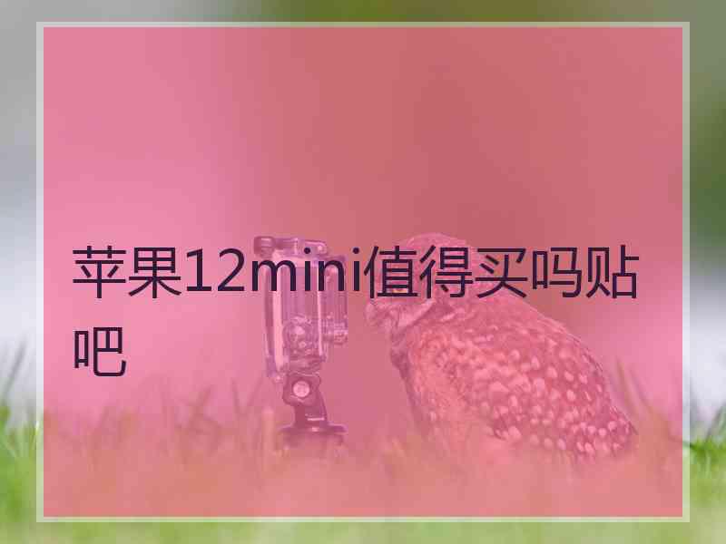 苹果12mini值得买吗贴吧