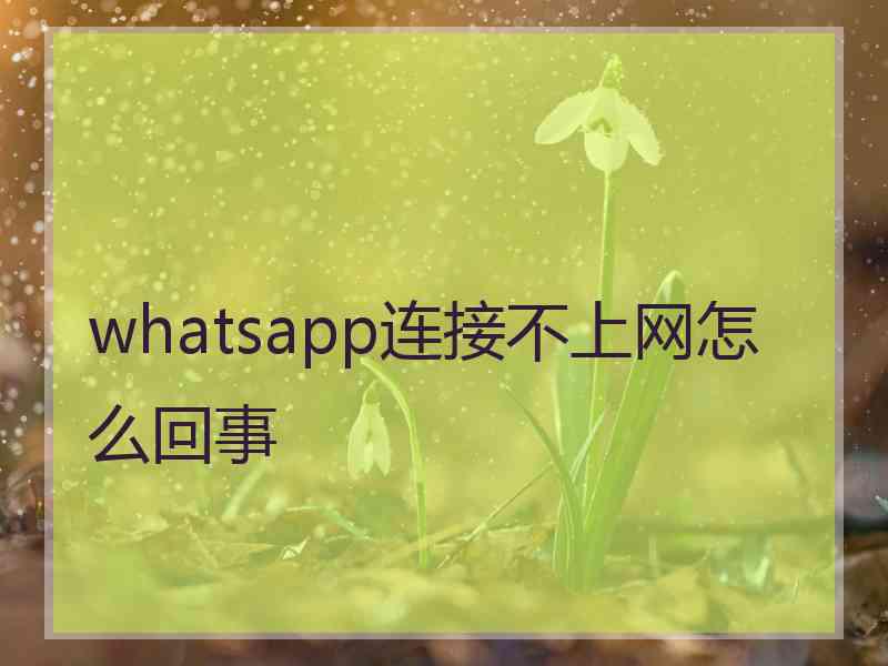 whatsapp连接不上网怎么回事