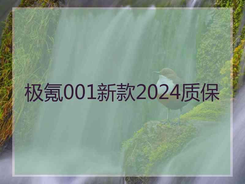 极氪001新款2024质保