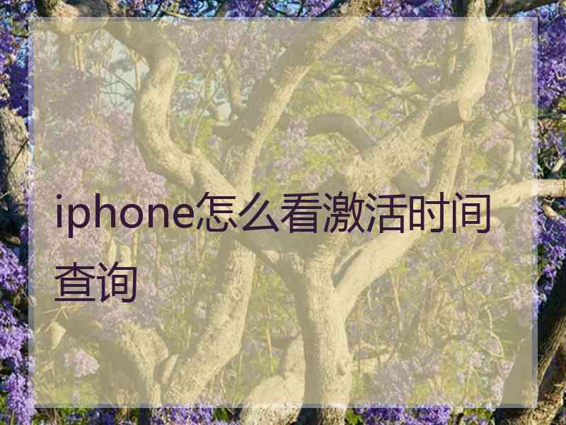 iphone怎么看激活时间查询