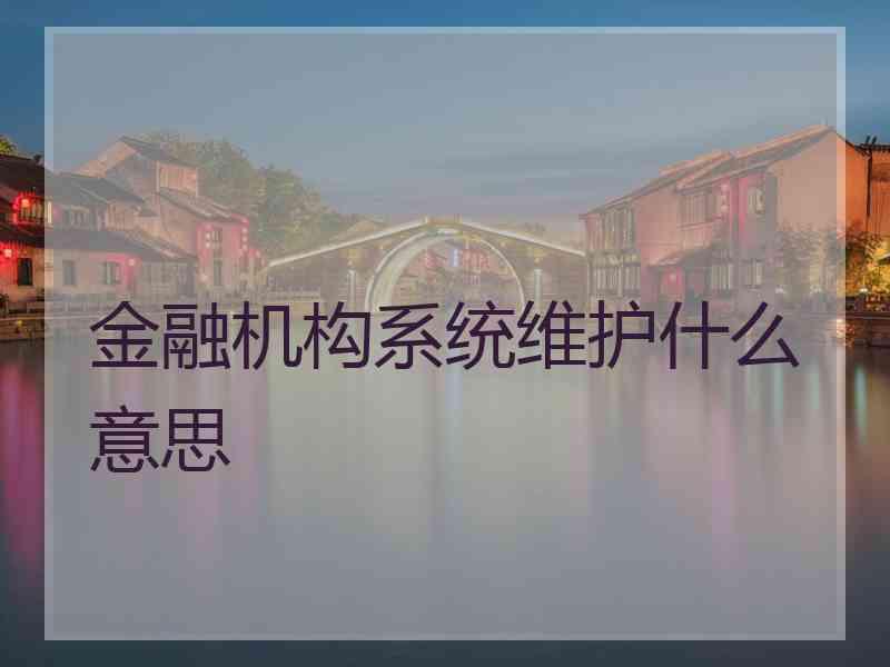 金融机构系统维护什么意思