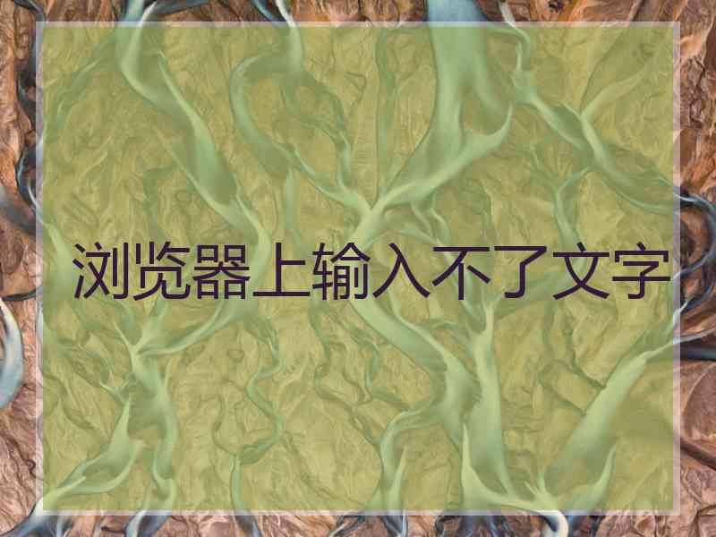 浏览器上输入不了文字