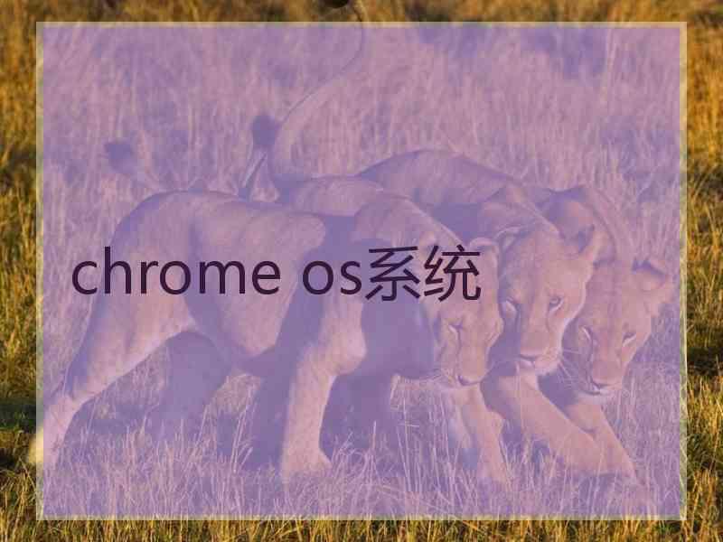 chrome os系统