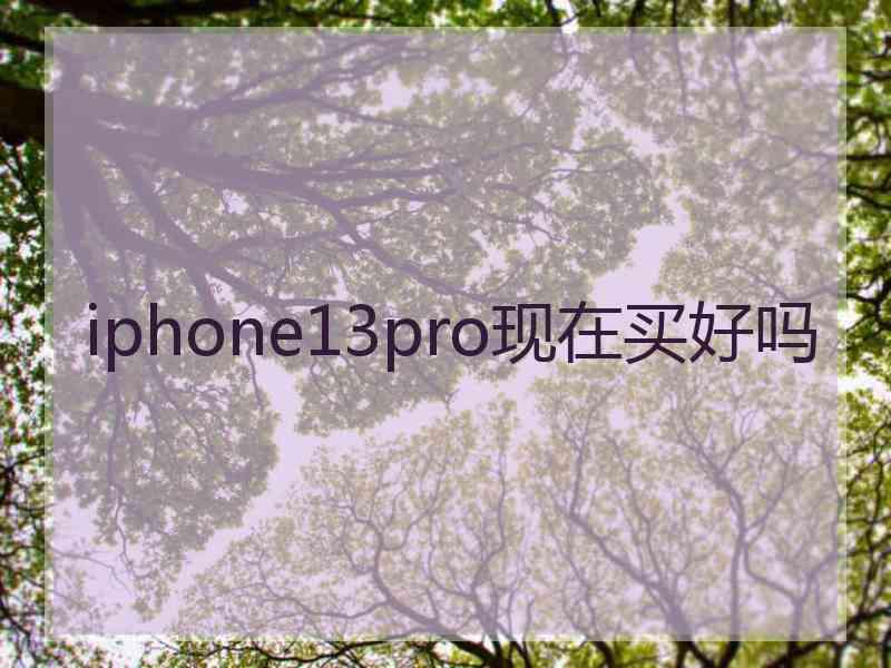 iphone13pro现在买好吗