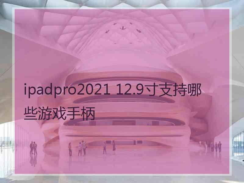 ipadpro2021 12.9寸支持哪些游戏手柄