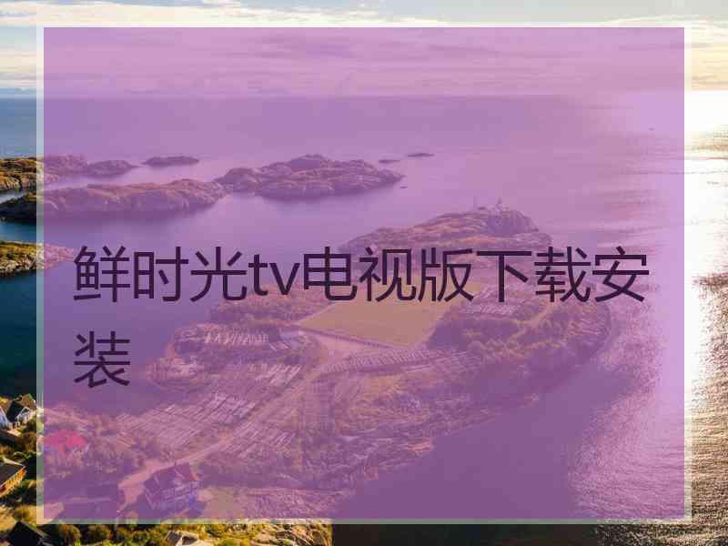 鲜时光tv电视版下载安装