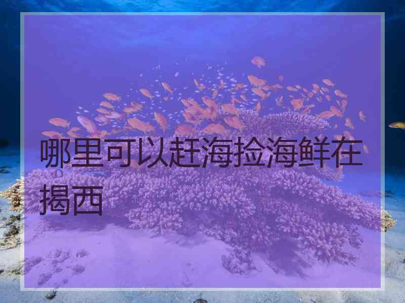 哪里可以赶海捡海鲜在揭西