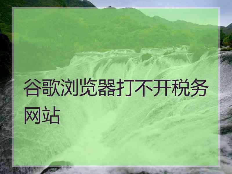 谷歌浏览器打不开税务网站