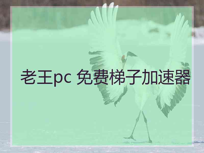 老王pc 免费梯子加速器