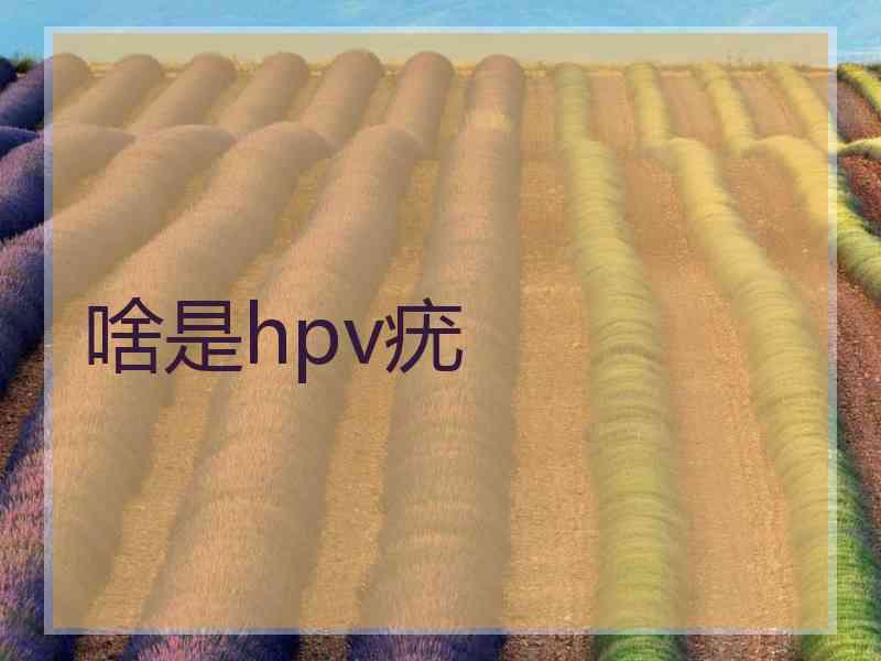 啥是hpv疣