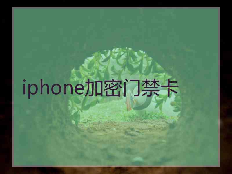 iphone加密门禁卡